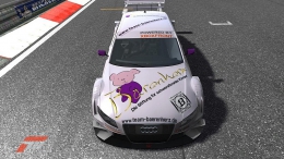 FM3-Racing-Team-Baerenherz-02.jpg