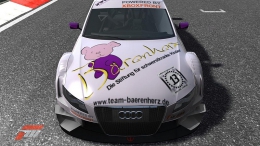 FM3-Racing-Team-Baerenherz-03.jpg
