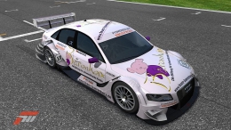 FM3-Racing-Team-Baerenherz-07.jpg